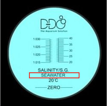 dd.JPG
