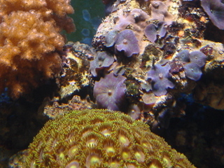 DSC04323.JPG