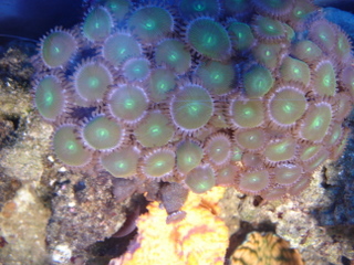 DSC04355.JPG