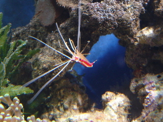 DSC04351.JPG