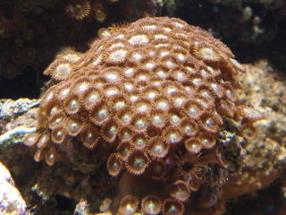 DSC04339.JPG