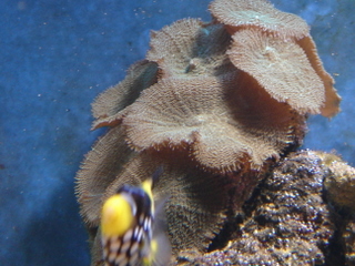 DSC04337.JPG
