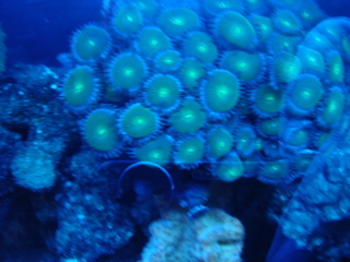 DSC04368.JPG