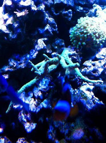 foto 7.jpg