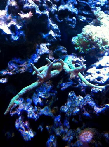 foto 5.jpg