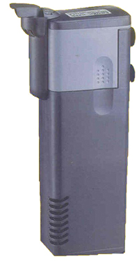 t_3935.jpg