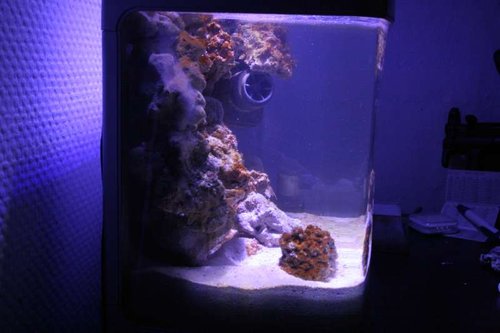 IMG_0356.JPG