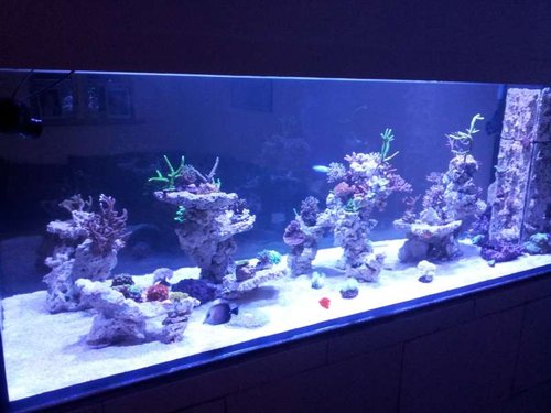 20140314_184359.jpg