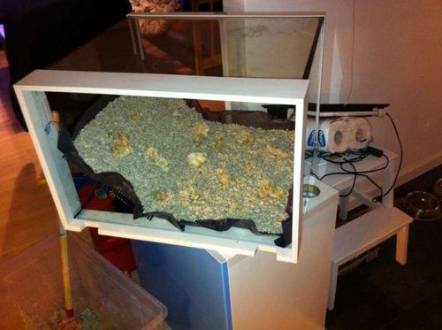 foto 4.JPG