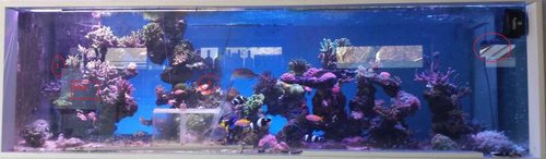 FTS.jpg