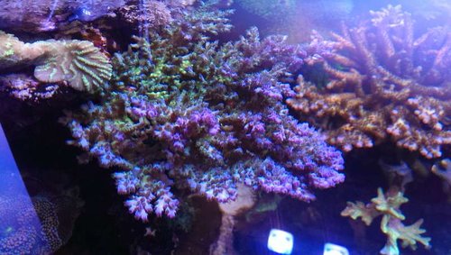2014-04-26 19.10.03.jpg