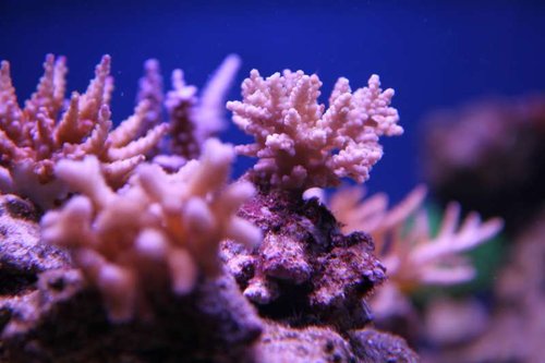 IMG_8794.JPG