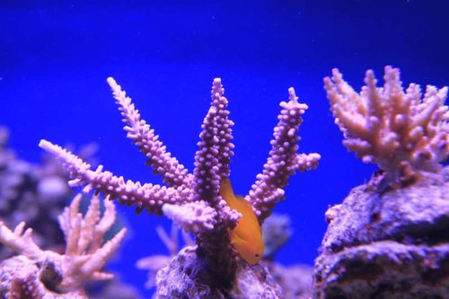IMG_9073.JPG