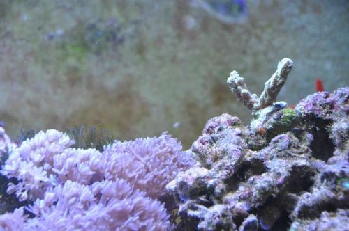 DSC_0416.jpg