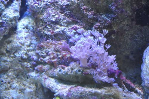 DSC_0417.jpg