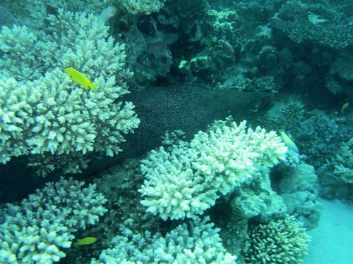 Hurghada 128 (Medium).jpg