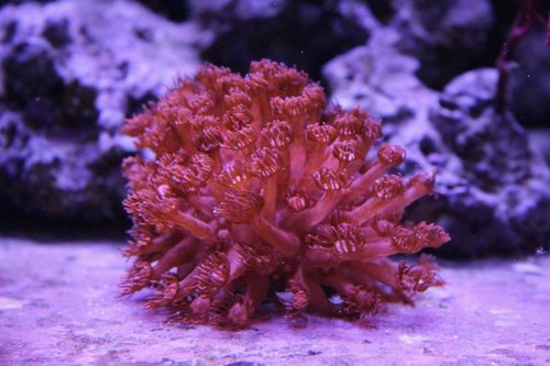 IMG_0162.JPG