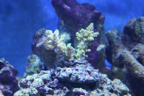 IMG_3625 (Large).JPG