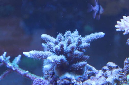IMG_0042.JPG