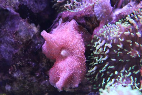 IMG_0529.JPG