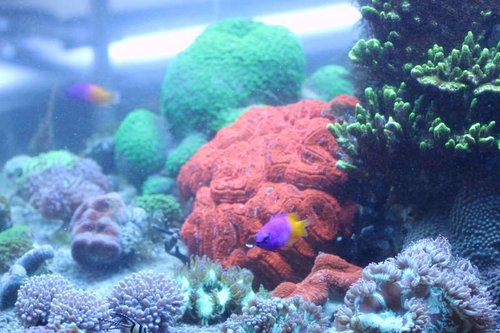 IMG_0081.JPG