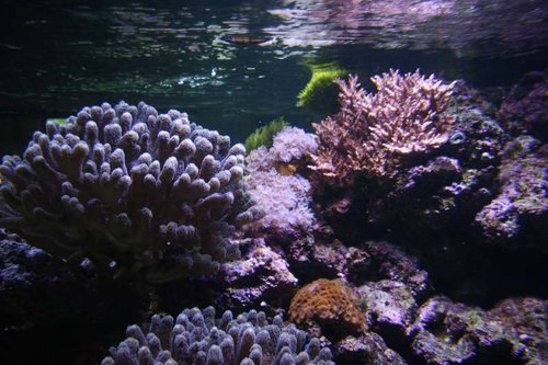 IMG_2858.JPG
