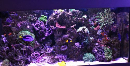 20140809-IMG_6142.jpg
