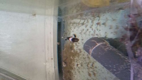 20140831_114258.jpg