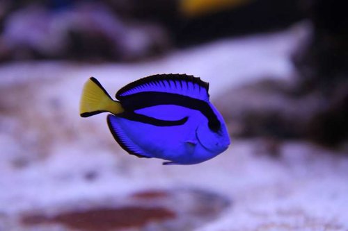 IMG_2911.JPG