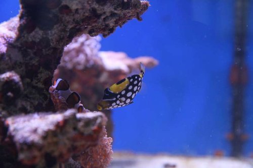 IMG_2942.JPG