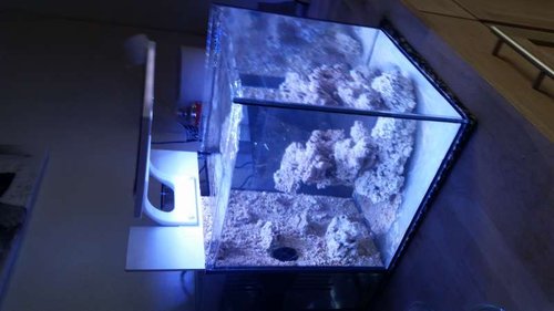 20140920_172146.jpg
