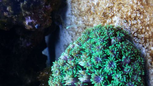 20140922_230215.jpg