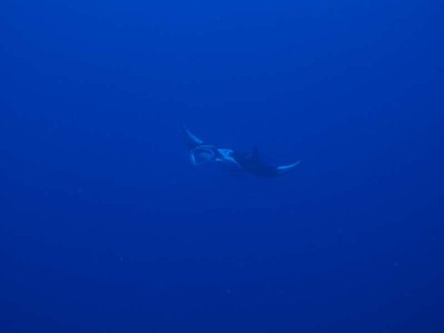 IMG_5349.JPG