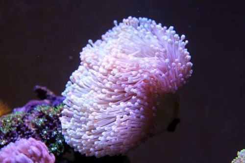 IMG_9222.JPG