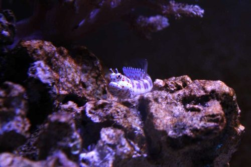 IMG_9263.JPG
