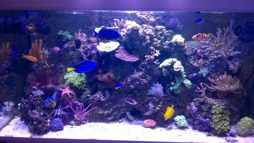 2014.10.04 Akvarium.jpg