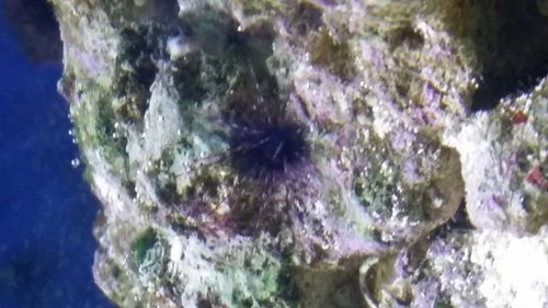 20141008_223722.jpg