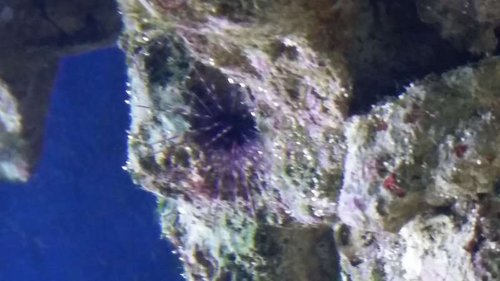 20141008_223740.jpg