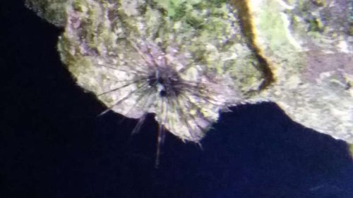 20141009_001336.jpg