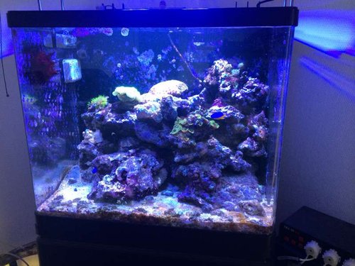 2014-10-16 17.08.58.jpg