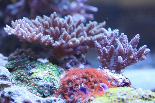 IMG_0091.JPG