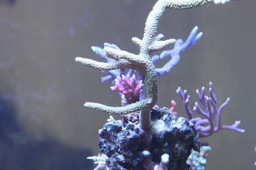 IMG_0110.JPG