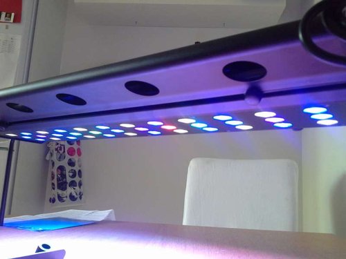 20140430_112059.jpg