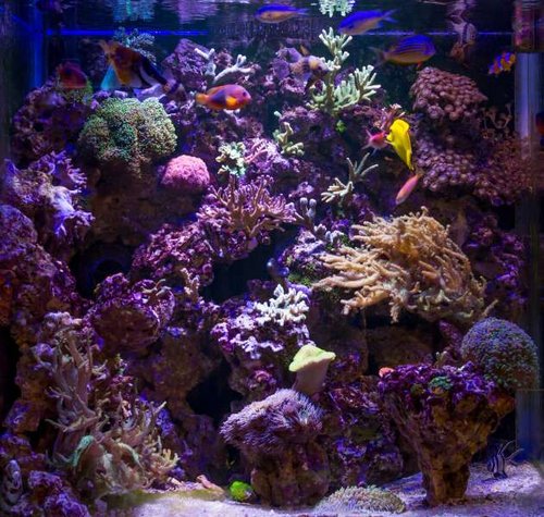 FTS