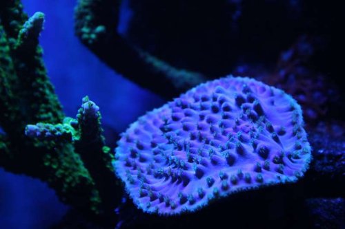 IMG_0496.JPG