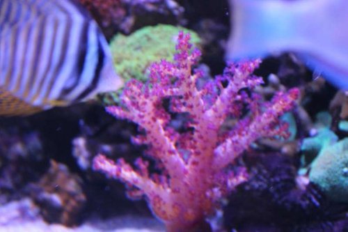 IMG_0505.JPG