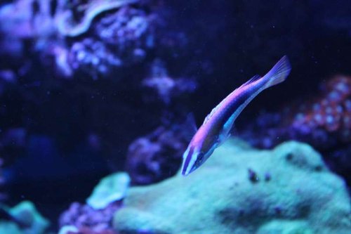 IMG_0495.JPG