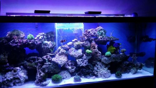 20141114_153201.jpg