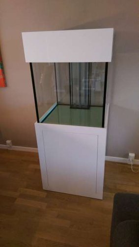 IMAG0644.jpg