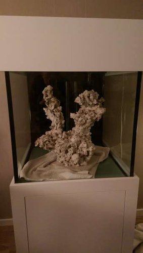 IMAG0655.jpg